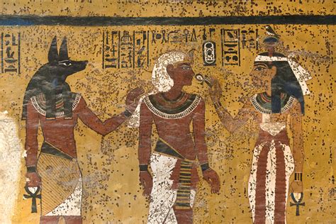 Tut, tut: Microbial growth in pharaoh's tomb suggests burial was a rush job