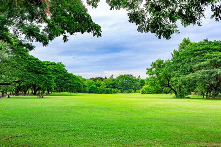 Public park background on a summer day(40042518904)｜イメージマート