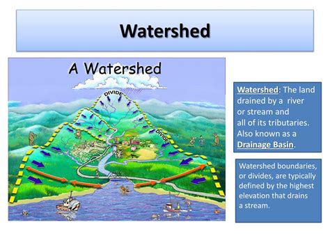 The Total Area Drained By A Stream And Its System Of Tributaries Is ...