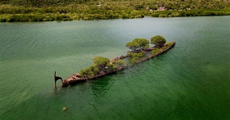 100-Year-Old Shipwreck in Australia Overgrown by Mangroves