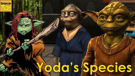 What do we know about YODA'S SPECIES? | Yoda species, Yoda, Species