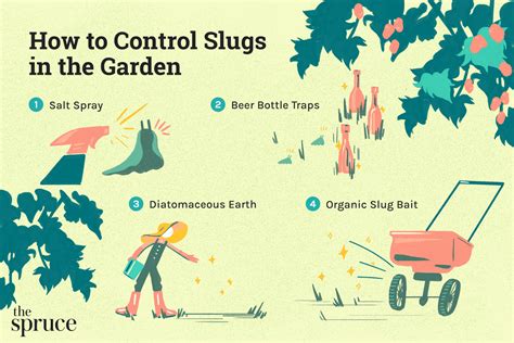 How to Get Rid of Slugs in the Garden