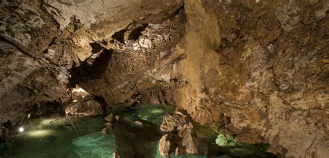 Bozkovské (Bozkov) Dolomite Caves - International Show Caves Association