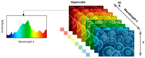 Sensors | Free Full-Text | Deep Learning in Medical Hyperspectral Images: A Review