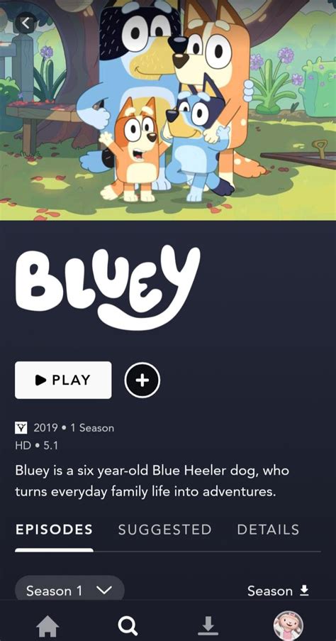 Bluey is now on Disney+ : r/DisneyPlus