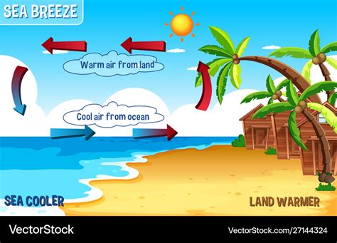 Diagram sea breeze with land and water Royalty Free Vector