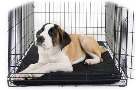 Tough Rip-Stop™ Orthopedic Dog Crate Bed | K9 Ballistics