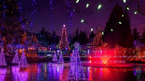 The Stunning Van Dusen Festival Of Lights Is Re-Opening Next Month