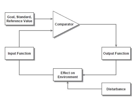 Feedback Loop (SOCIAL PSYCHOLOGY) - iResearchNet