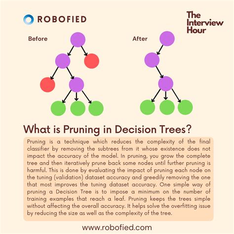 What is Pruning in Decision Trees? in 2021 | Decision tree, Natural ...