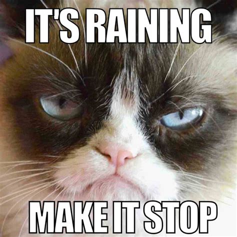 35 Funny Rain Memes To Shower You With Chuckles