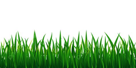 Green Grass Clipart Transparent PNG Hd, Green Grass Border, Grass, Green, Border PNG Image For ...