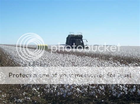 Cotton Harvest 2010 - The Combine Forum