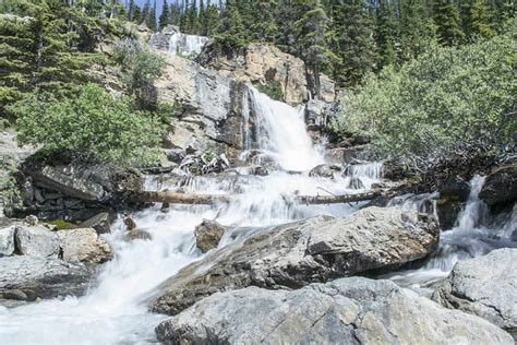 Hiking in Jasper National Park: 11 Epic Trails & Hikes for Adventure