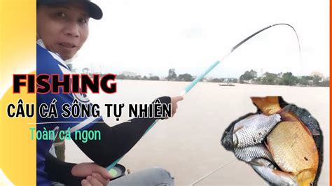 Fishing | Câu cá giải trí trên sông tự nhiên - YouTube