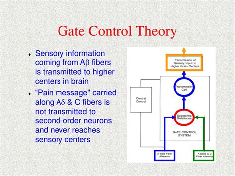 PPT - Managing Pain With Therapeutic Modalities PowerPoint Presentation ...