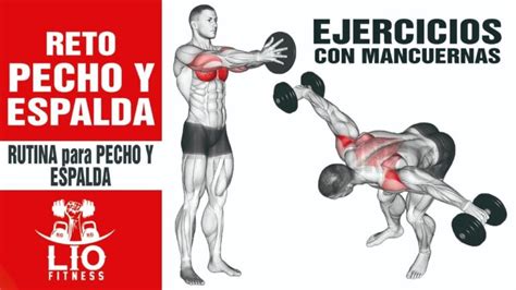 Mejores Ejercicios Para Pecho En Casa Con Mancuernas, 49% OFF