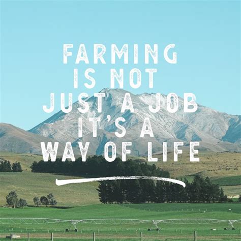 Happiness Farm Life Quotes