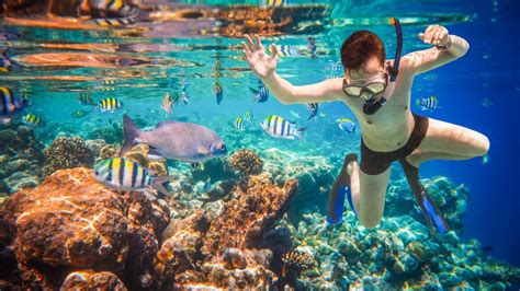 Los Cabos Snorkeling | Snorkeling in Cabo - Los Cabos Passport