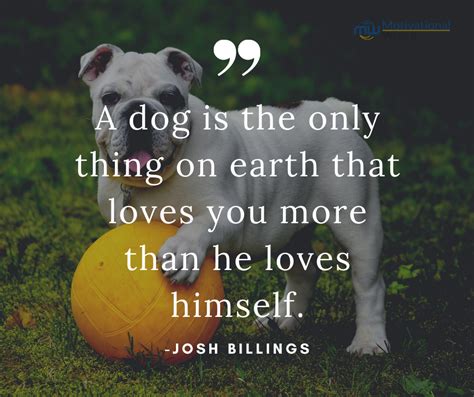 30 Dog Loyalty Quotes