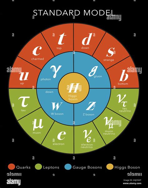 A diagram of the Standard Model to show particle physics. Particle physics standard model. The ...