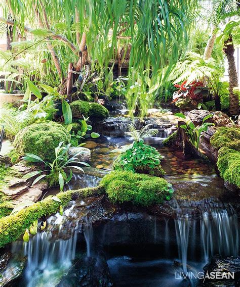 The House of Rainforest Garden | Backyard water feature, Fish pond ...