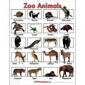 an animal poster with pictures of different animals and their names in ...