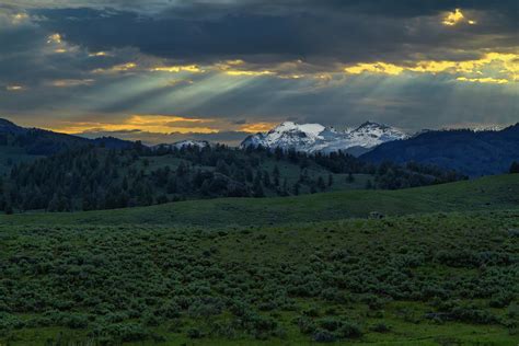 Lamar Valley Sunrise Photograph by Galloimages Online - Fine Art America