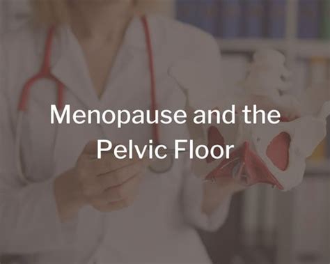 Menopause and the Pelvic Floor | ReConnect+ Online Streaming