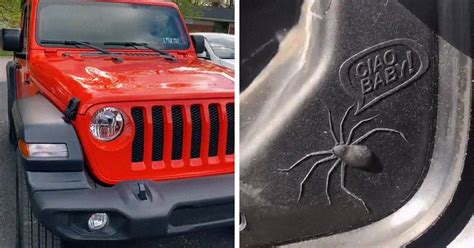 Here Are Some Of The Funniest 'Easter Eggs' People Found In Their Jeeps ...