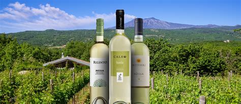 9 Most Popular Sicilian White Wines - TasteAtlas