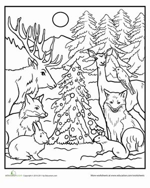 Coloring Sheets Winter Animals - teachcreativa.com