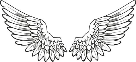 Feather Wings Drawing at GetDrawings | Free download