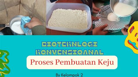 Bioteknologi Konvensional || Proses Pembuatan Keju - Biologi - YouTube