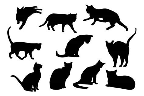 Royalty Free Domestic Cat Silhouette Lying Down Black Clip Art, Vector Images & Illustrations ...