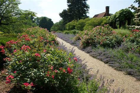 Planting Fields Arboretum