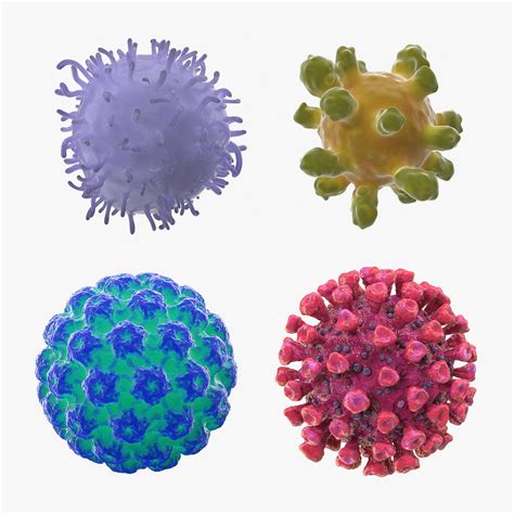 Human viruses 2 virus 3D model - TurboSquid 1525295