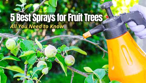 5 Best Sprays for Fruit Trees in 2024 - The Backyard Pros