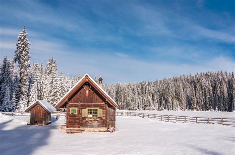 Dreamy Pixel | Hunting cabin in the winter forest - Dreamy Pixel