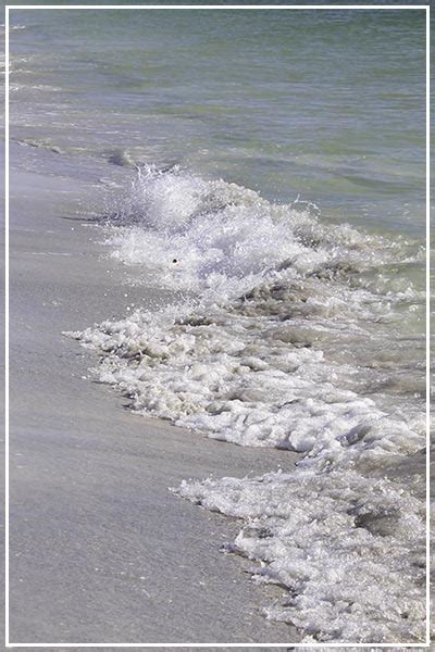 5 Interesting Anna Maria Island Activities for Families