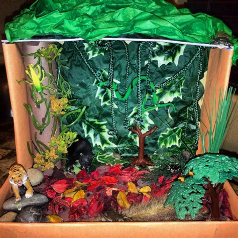 Forest shoe box project Rainforest Ecosystem, Rainforest Project ...