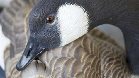 Carving Duck Decoys - Country Roads Magazine