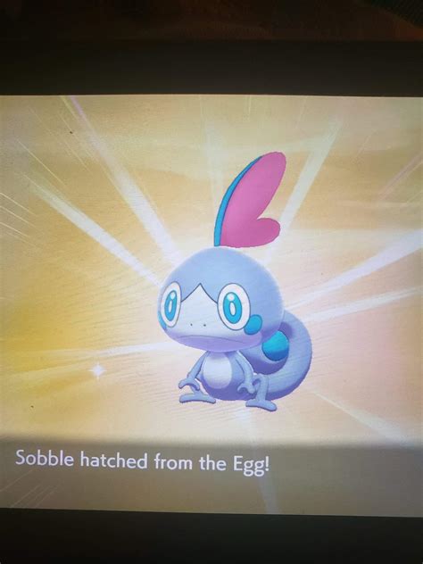 Shiny Sobble | Shiny Pokemon Amino Amino