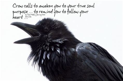 The Crow Quotes About Love. QuotesGram