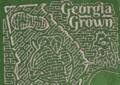 Get Completely Lost At This Incredible 15-Acre Corn Maze In Dawsonville - Secret Atlanta