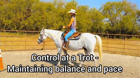 Riding Lesson - Trotting exercises for a better seat balance and pace ...