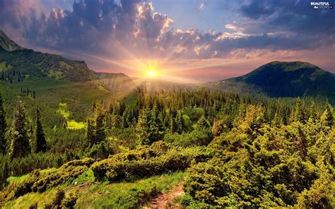 Mountains, Path, Sunrise, woods - Beautiful views wallpapers: 1920x1200