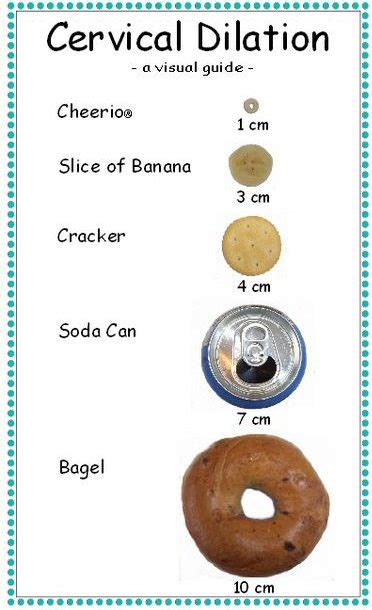 What Is 1 Cm Dilated And What To Do With It? - ShrewdMommy