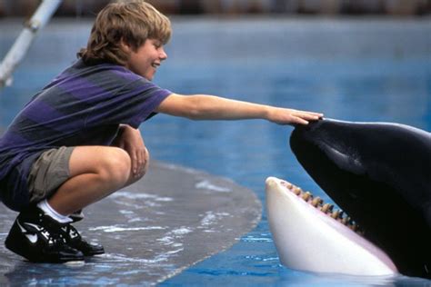 What is the true story behind Free Willy, the movie based on Keiko the killer whale | Metro News