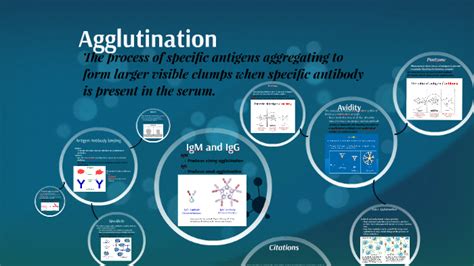 Agglutination by on Prezi